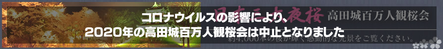 日本三大夜桜 高田城百万人観桜会